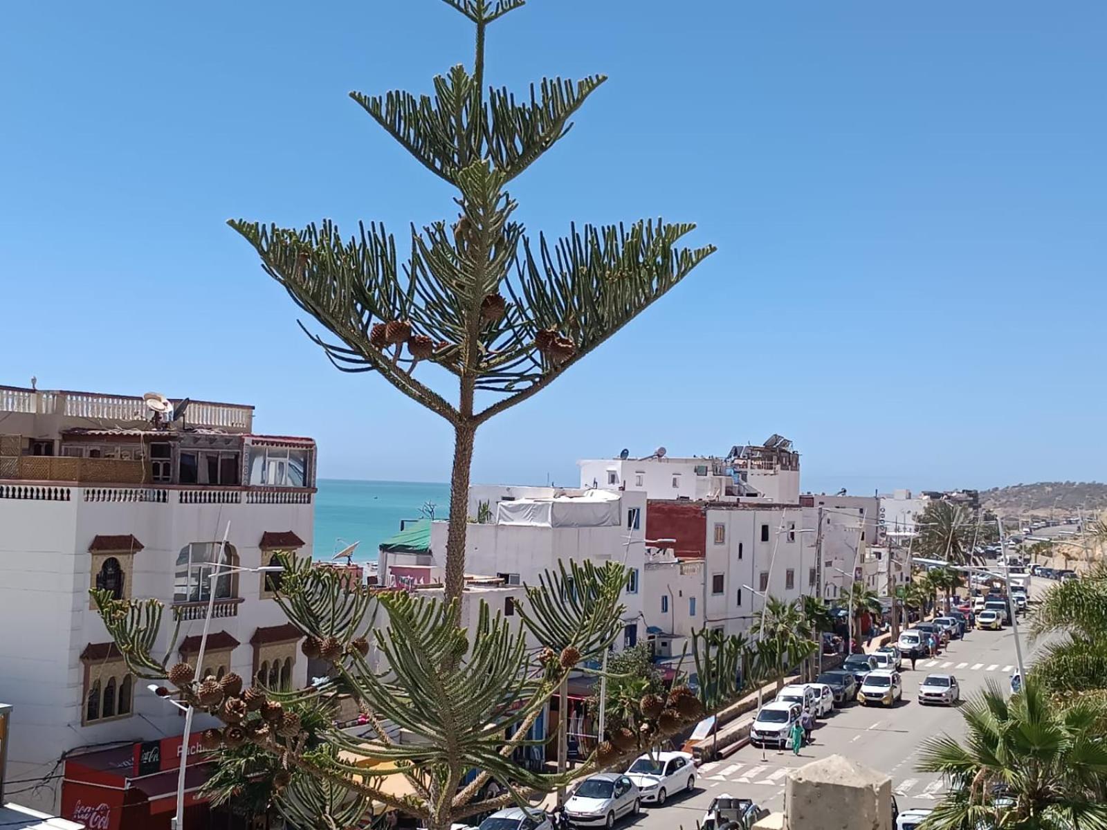 Taghazout Daire Dış mekan fotoğraf