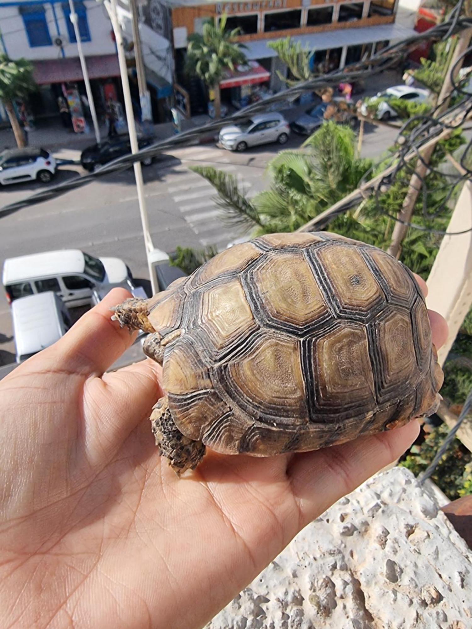 Taghazout Daire Dış mekan fotoğraf